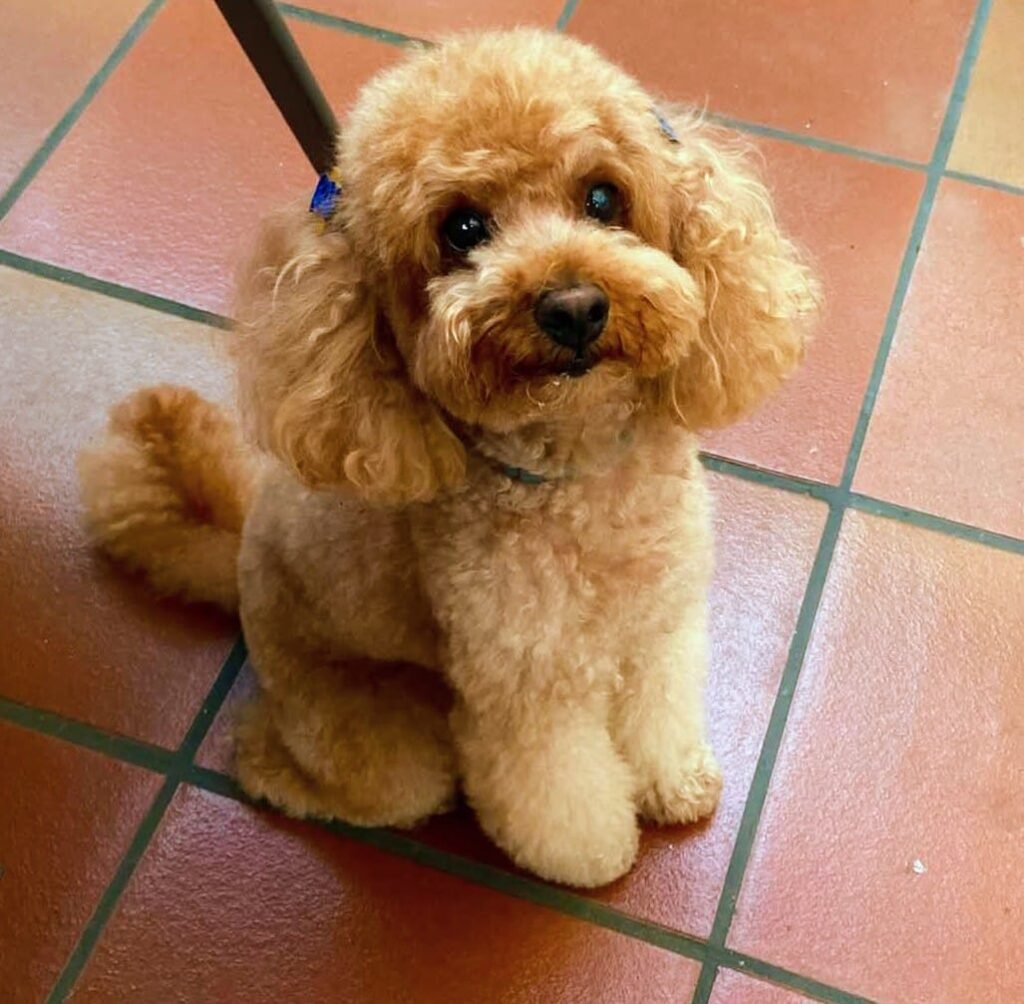 WhatsApp Image 2025-09-26 at 10.27.08 AM