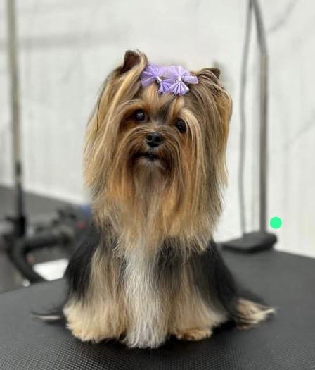 WhatsApp Image 2025-09-26 at 10.41.22 AM