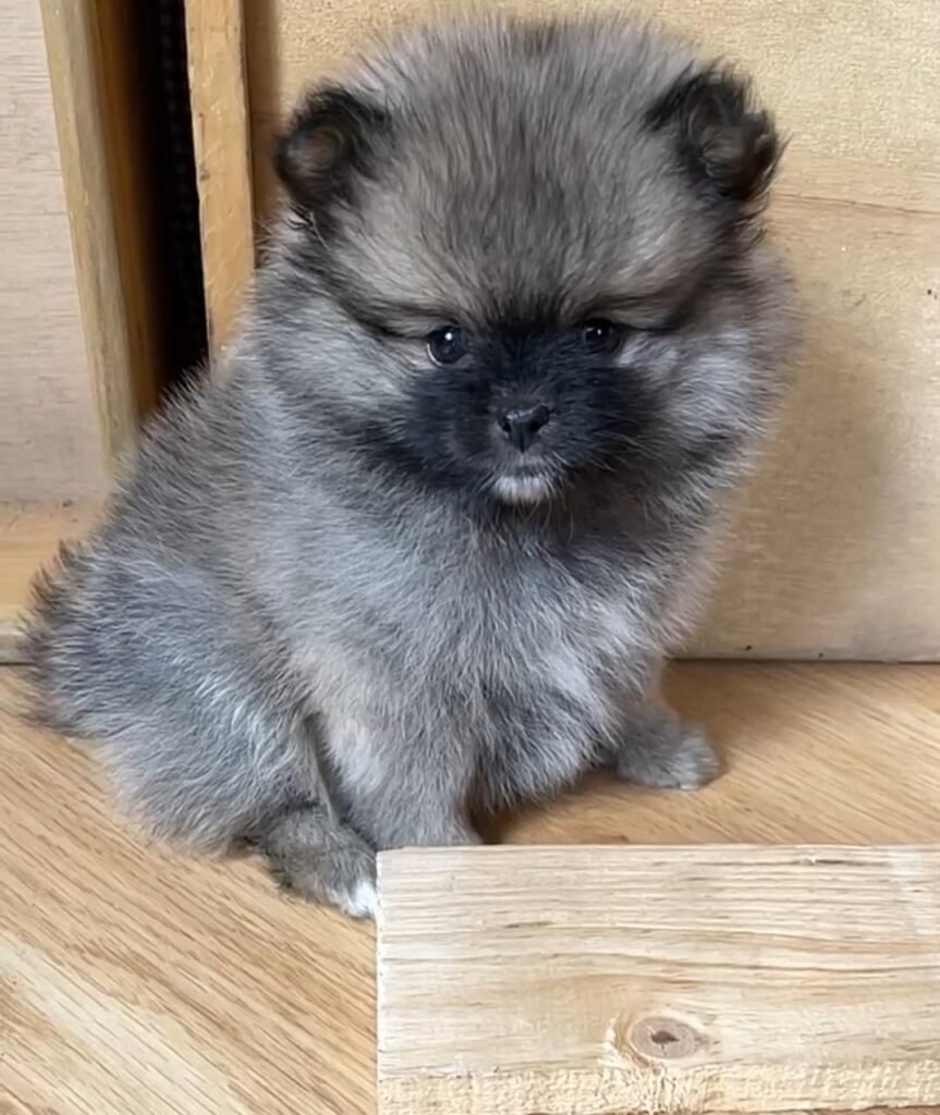 WhatsApp Image 2025-09-26 at 10.50.31 AM